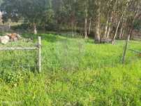 Terreno  para venda