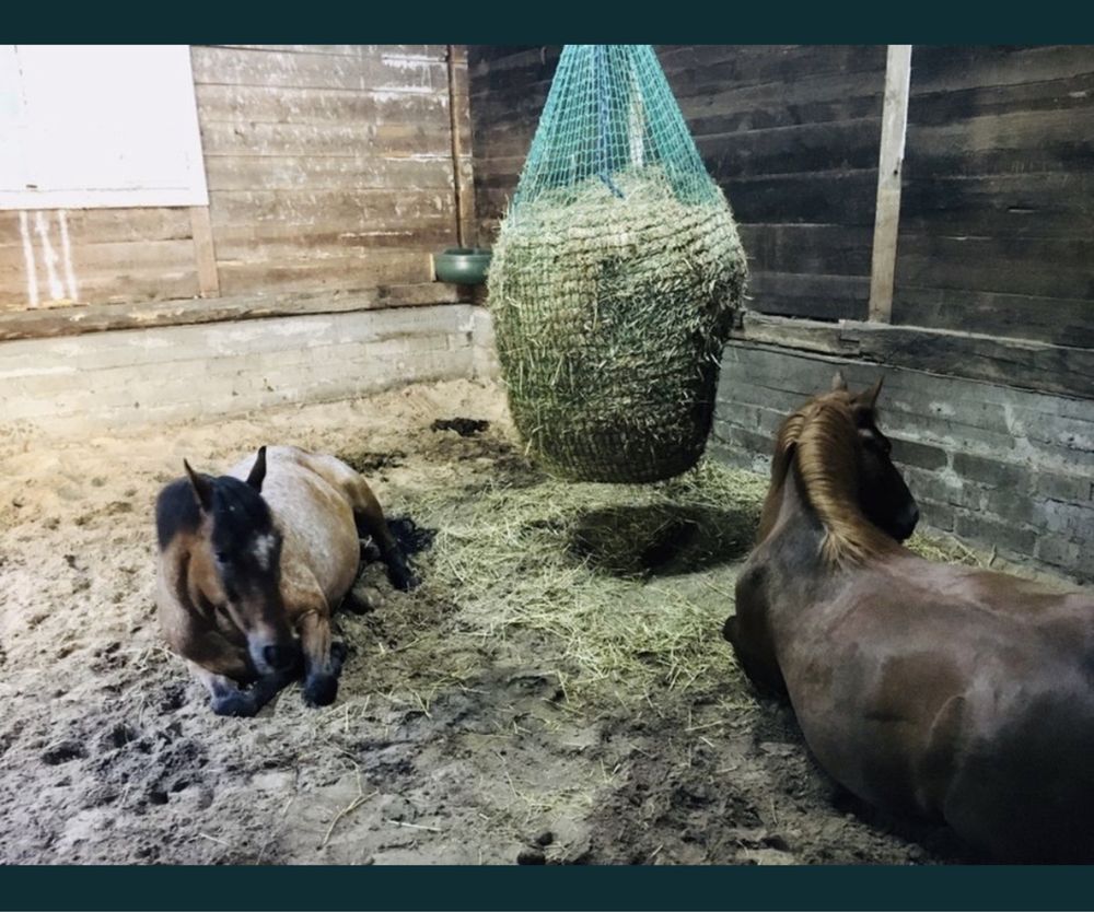 Siatka do różnych zastosowań, na belę, siano, słoma