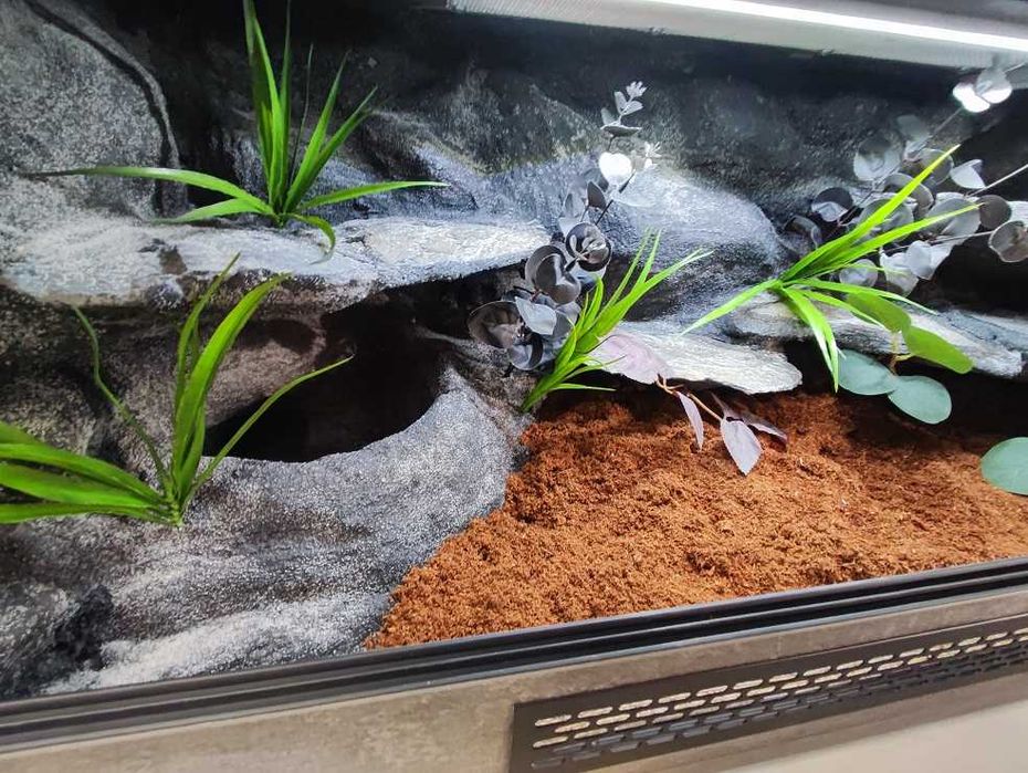 Terrarium tropikalne nr596 100/40/40 dla węża boa pyton NA ZAMÓWIENIE