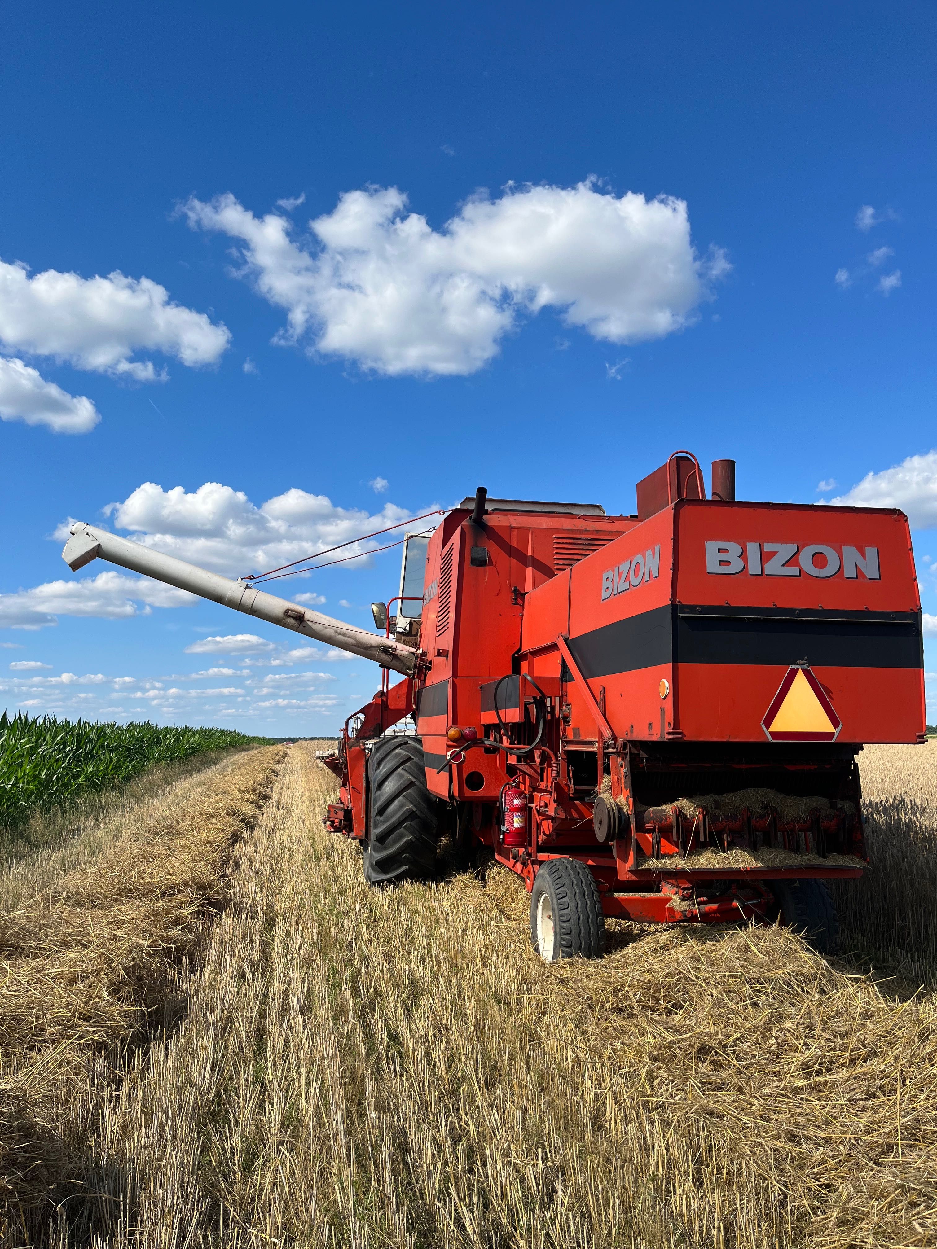 Sprzedam Bizon Z056/5056
