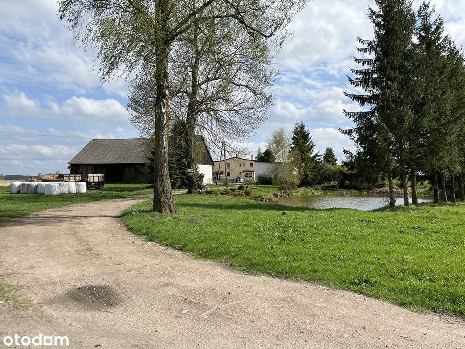 Siedlisko/gospodarstwo z 18 hektarami ziemi w Mikołajkach na Mazurach
