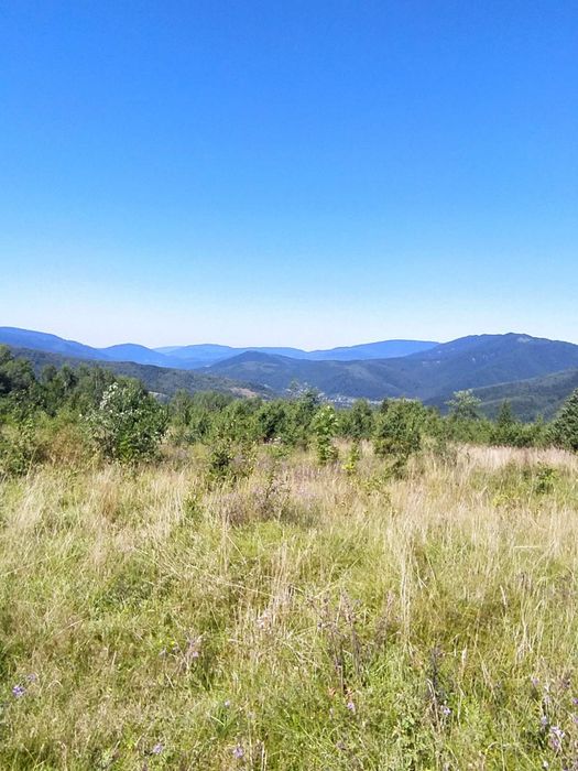 Земельна ділянка