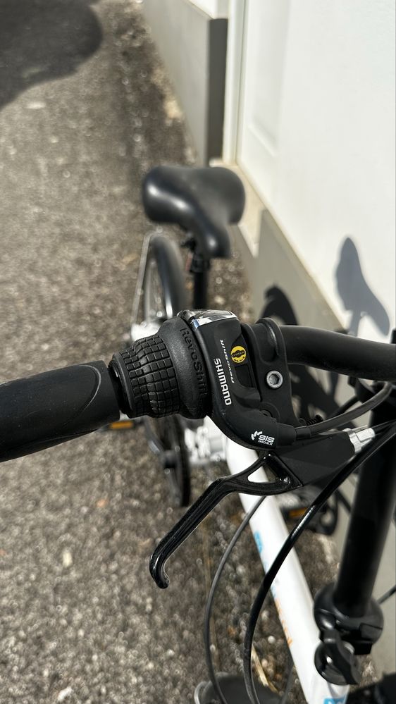 Bicicleta dobravel Wayscral Flexy175