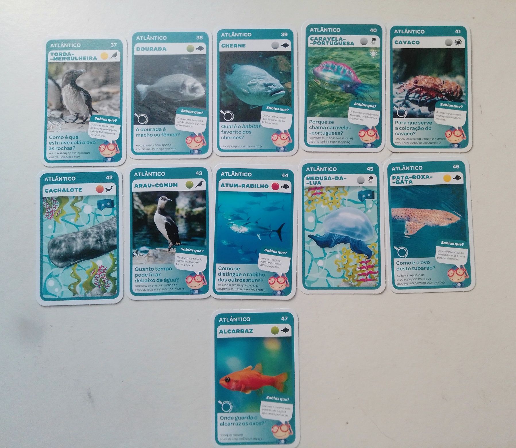 Cartas Super animais e Desportos.