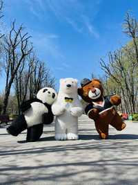 Ведмедик-аніматор на день народження, білий, тедді, панда