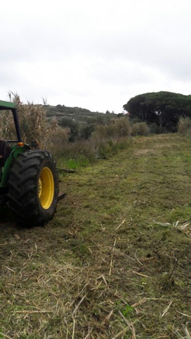 Limpezas de terrenos... Orçamentos grátis