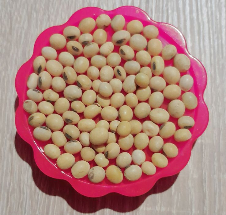 Соя  харчова не труєна для приготування