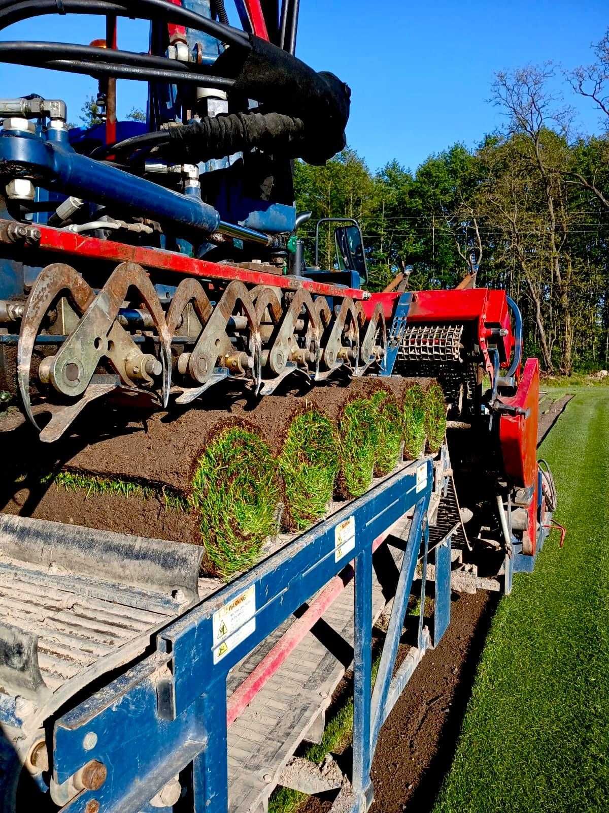 Trawa w rolkach SUPERGĘSTA od ręki, transport HDS i winda