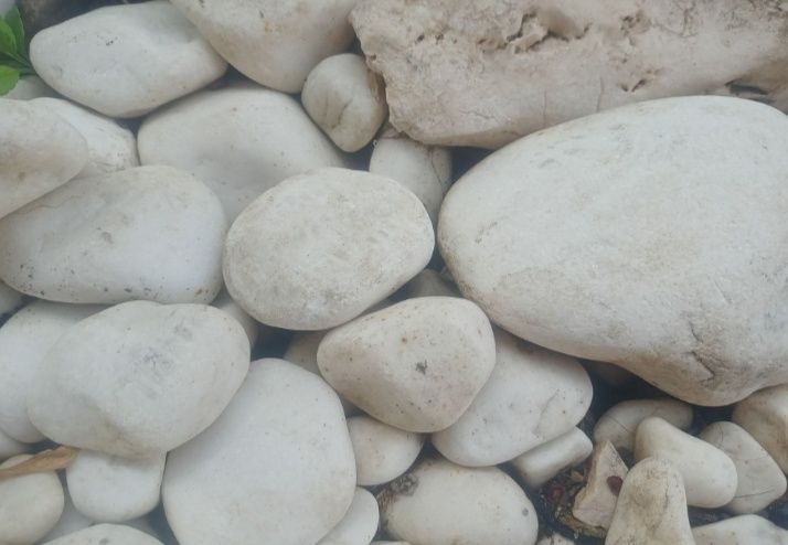 Otoczaki białe greckie 20 kg