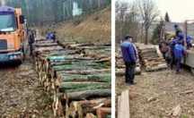 Продаемо дрова твердих порід