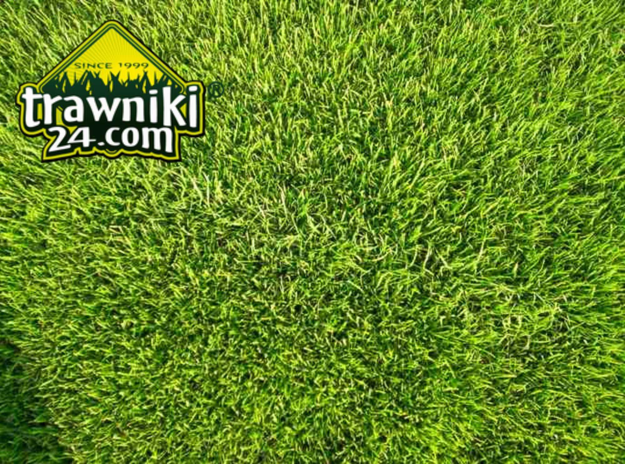Trawa z rolki wysoka jakość gotowe zielone trawniki chłodzona 6°C
