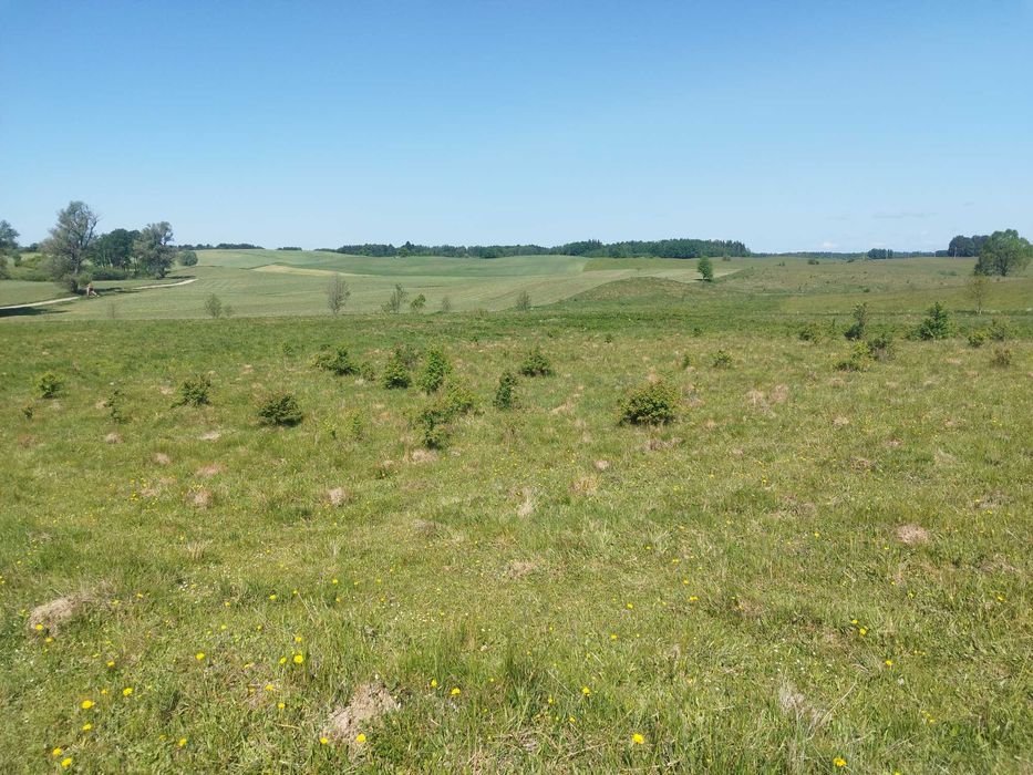 Działka budowlana Mazury przy Lesie