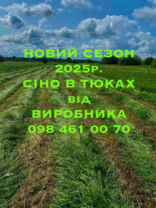 Сіно(сено) в тюках 2025р.. від ВИРОБНИКА