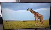 Sony 55XF9005 4K Android TV