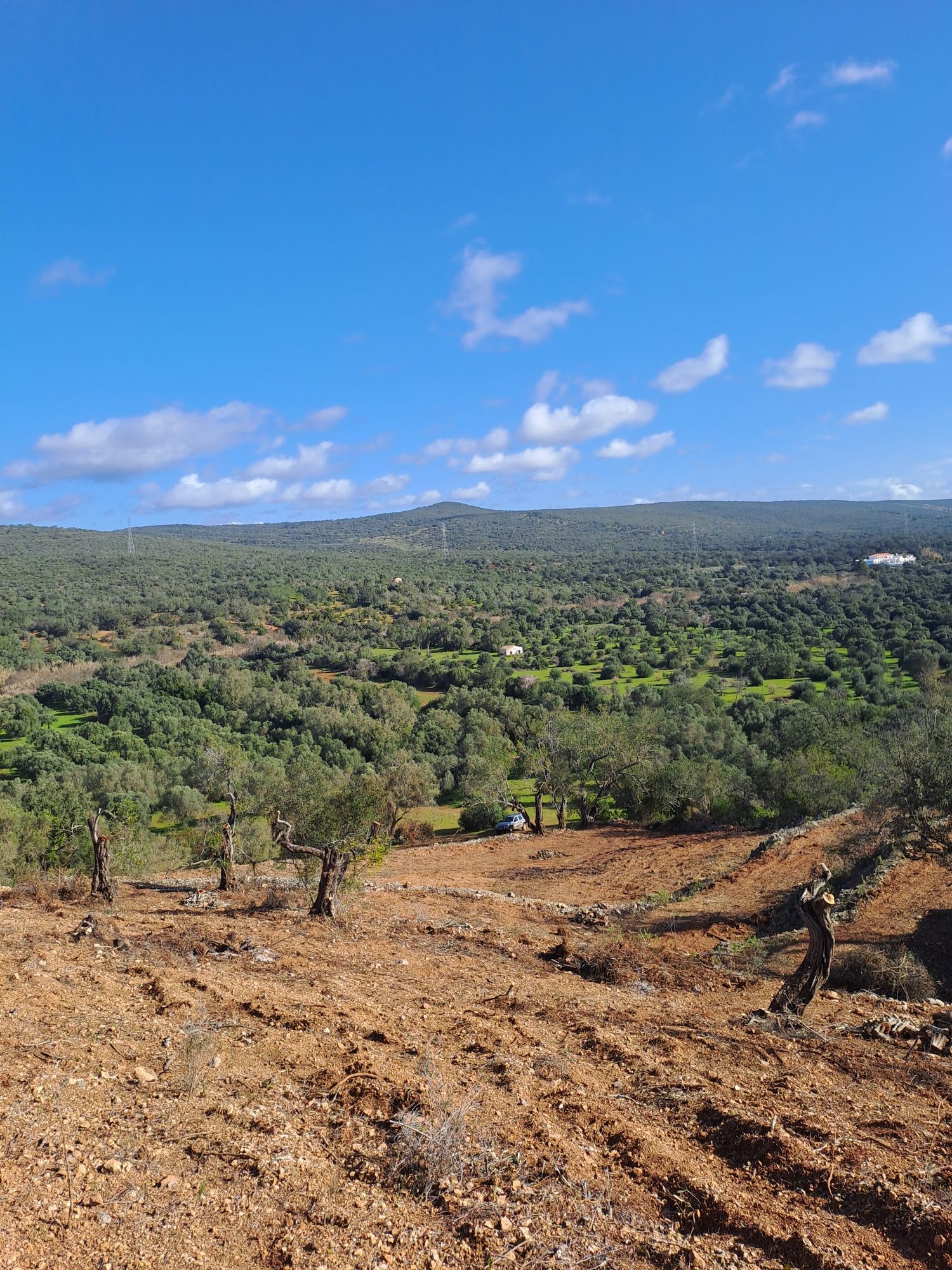 Terreno rustico bem localizado