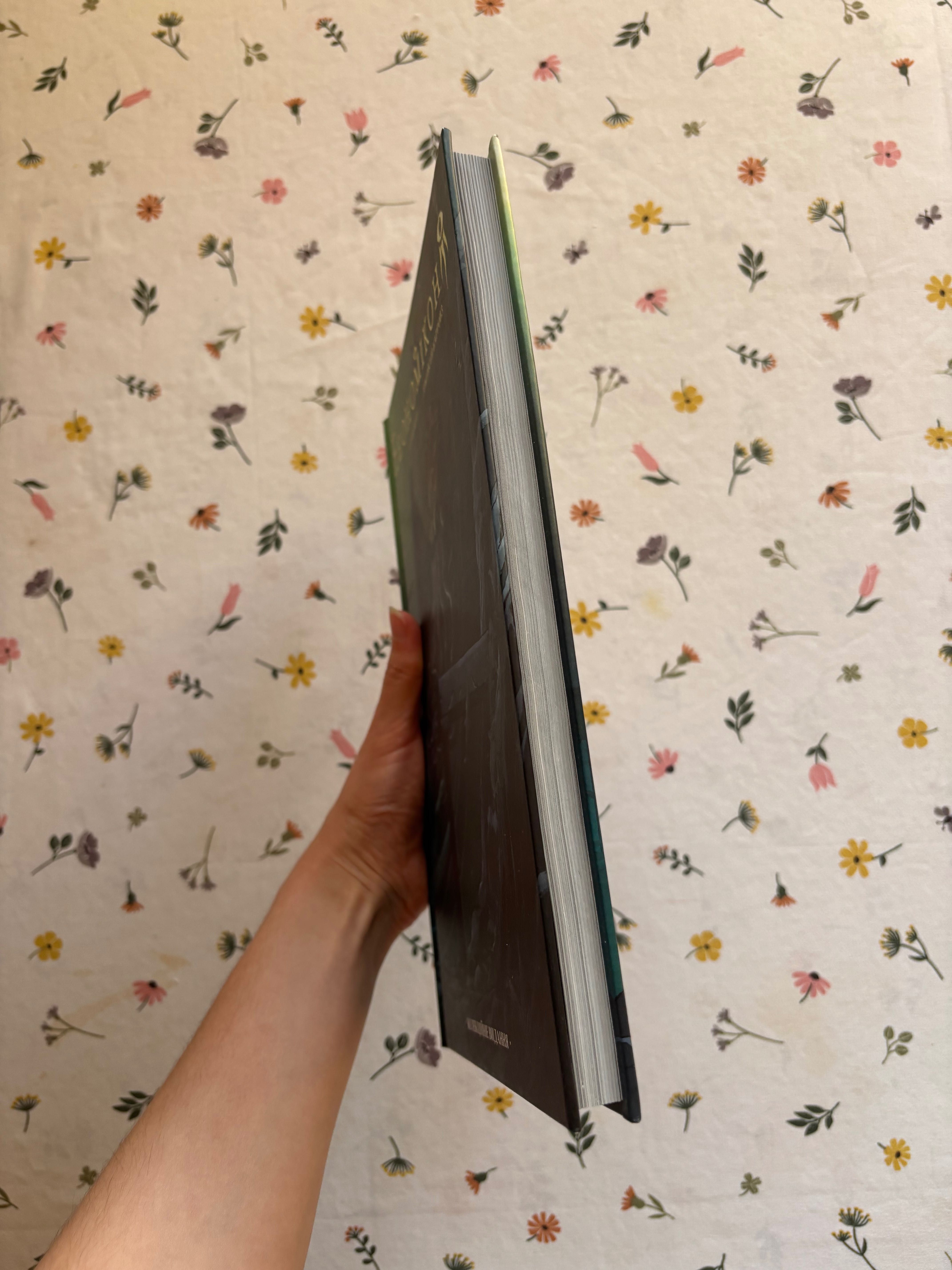 Книжки читані та нові