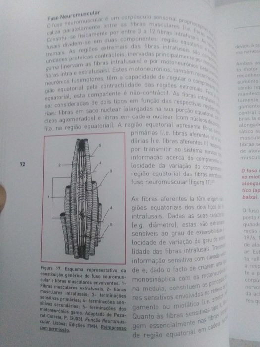Livro de Flexibilidade e Alongamento.