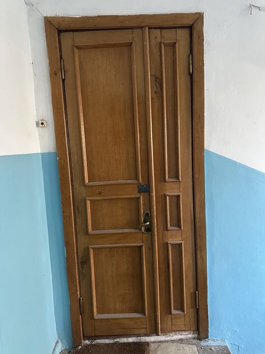 Вхідні дерев'яні двері подвійні