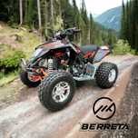 Berreta Egl Mad Max berreta mad max 250 cc