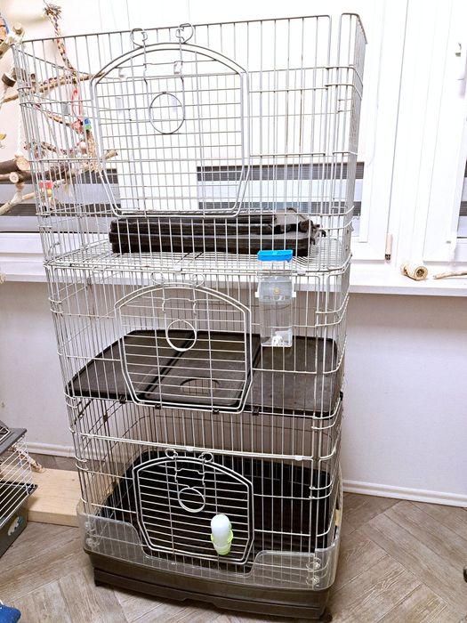 Duża klatka woliera dla szynszyli, królików...