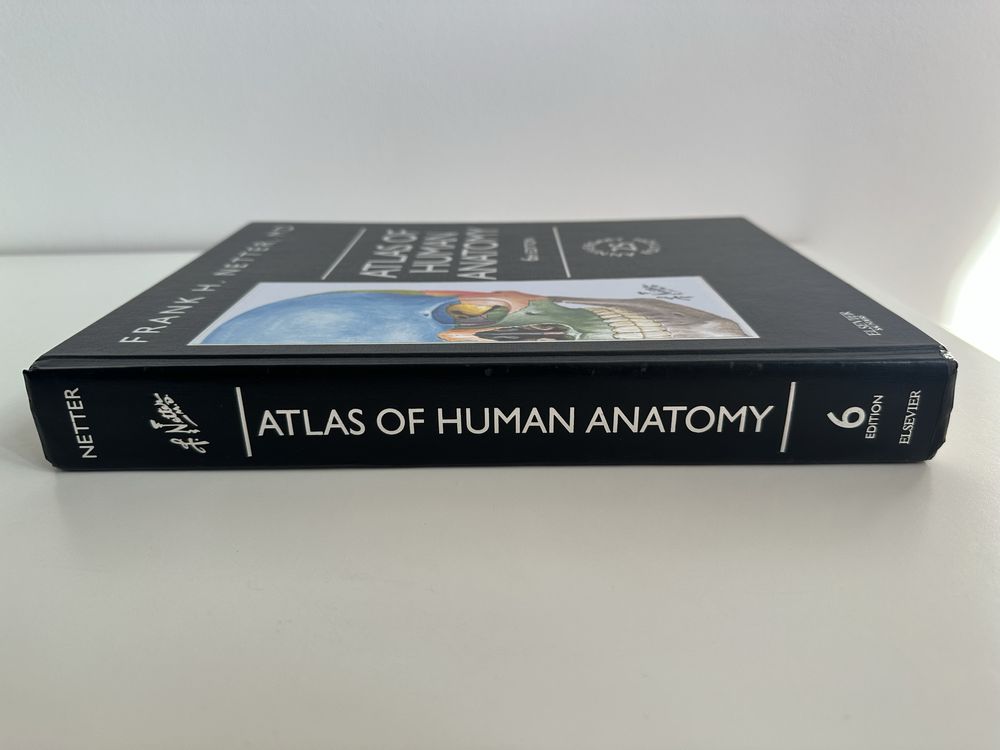 Atlas of Human Anatomy Netter, Atlas Anatomii Człowieka Nettera