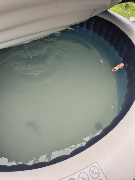 Jakuzzi intex 147 dysz  ,pokrywa  +pompa