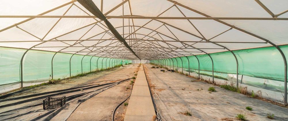 Теплиці в оренду |  теплі підлоги, вода, світло | смт Хорошеве