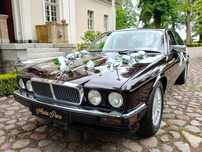 Jaguar XJ do ślubu z usługą szofera