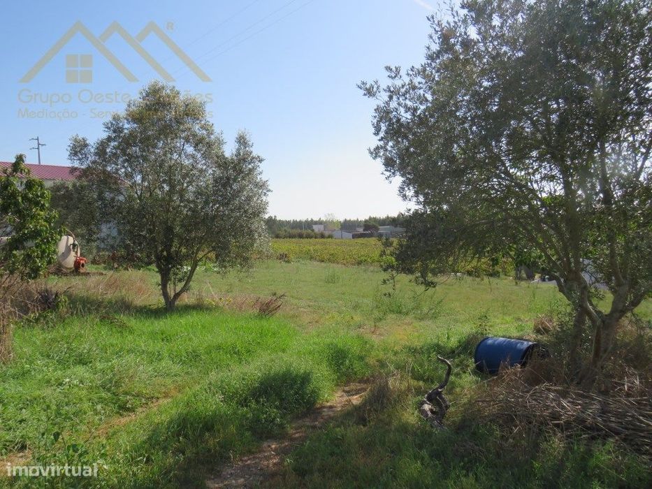 Casa de R/c para Arrecadação e Arrumos, com logradouro, A-dos-Cunha...