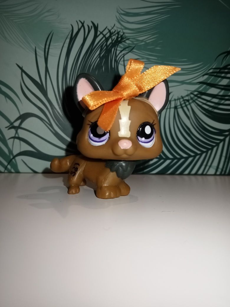 LPS piesek Corgi #1767 Hasbro