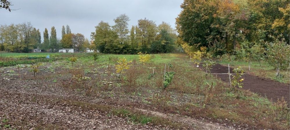 Затишний Будинок на 60 сотках у с. Руде (20 км від міста).