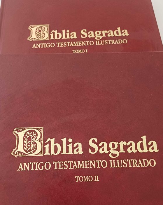 Bíblia Sagrada - Antigo testamento 2 volumes