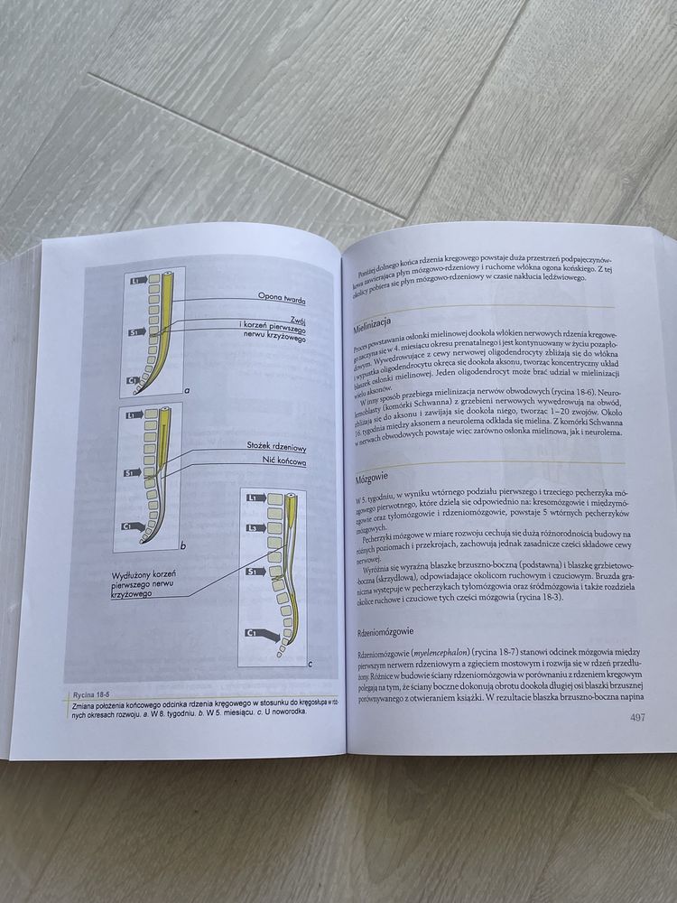 Bartel embriologia lekarski lekarsko- dentystyczny medycyna