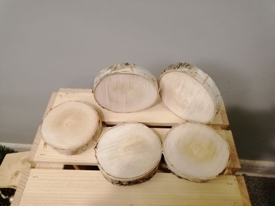 Plastry brzozy 8-10 cm 5 szt