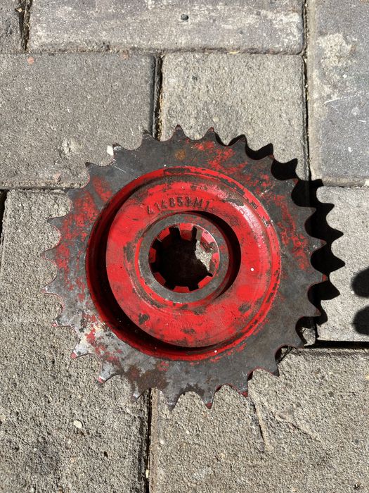 Звьоздочка мойсей фергусон