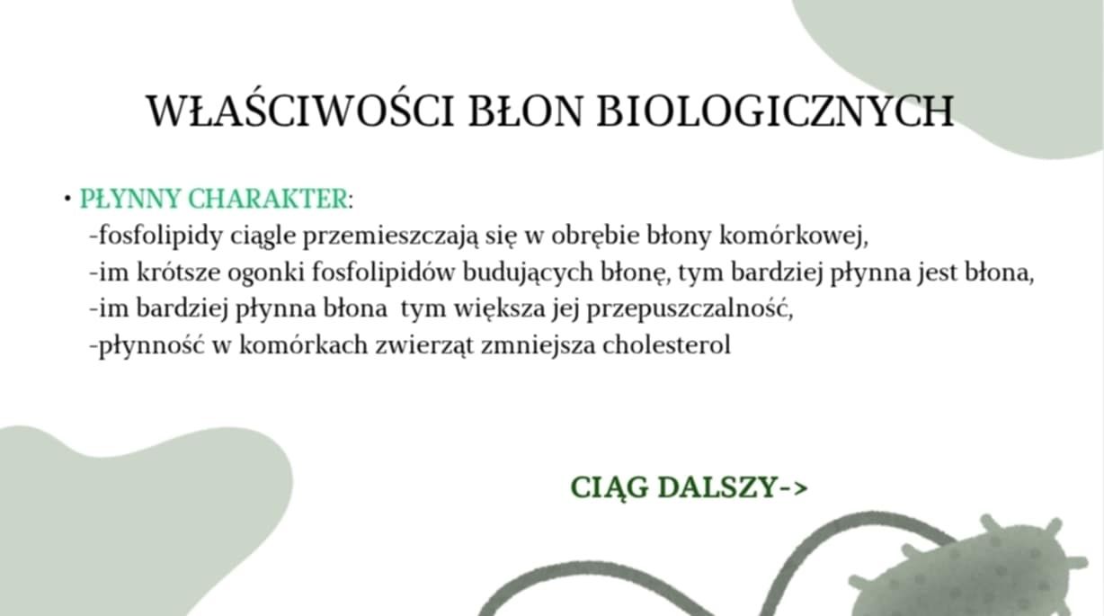 Korepetycje z biologii