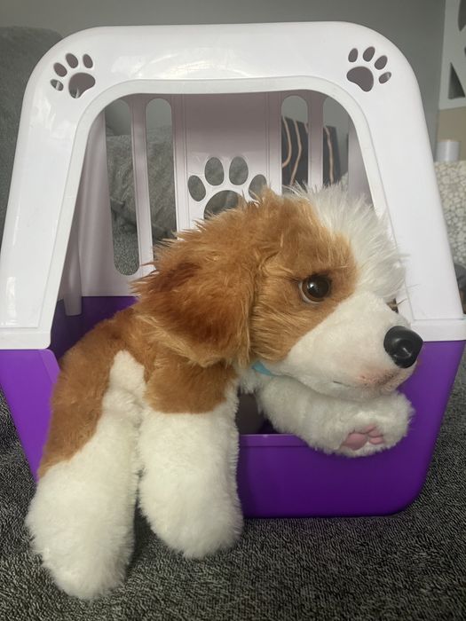 Piesek interaktywny Little Live Pets