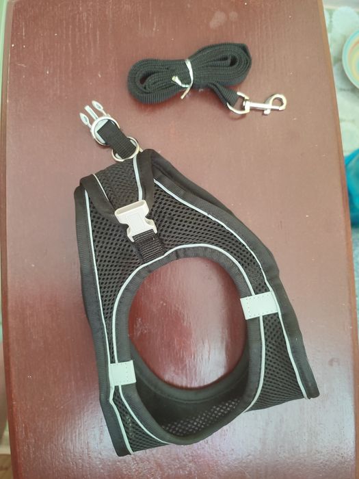 Шлейка ошейник и поводок для собаки