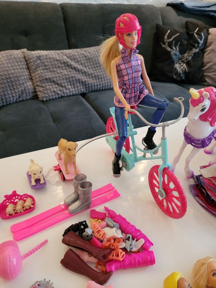 Barbie - mega zestaw lalek i dodatków