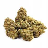 50G Susz konopny CBD LEMON HAZE 0,20%