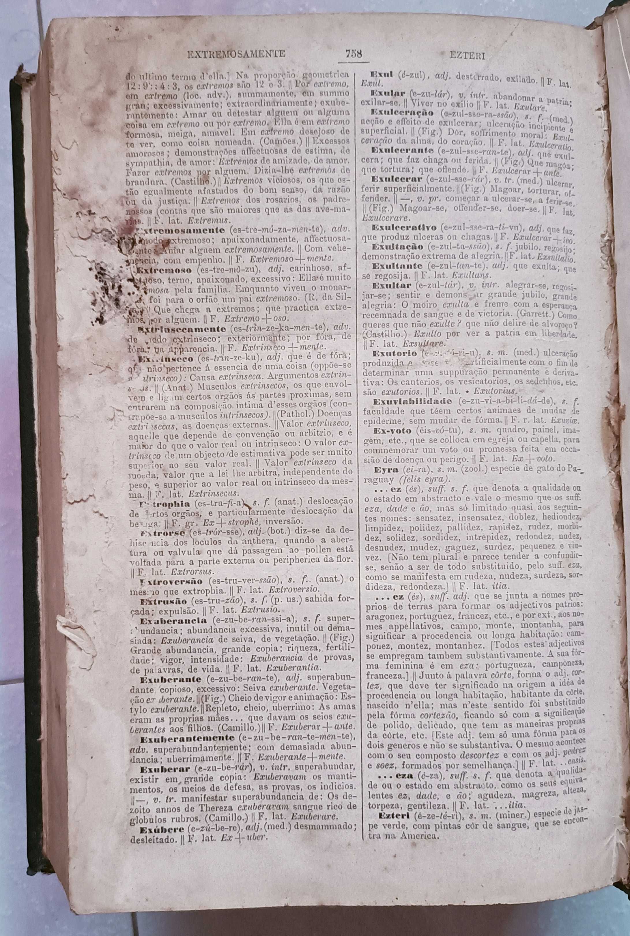 Diccionario Contemporaneo da Lingua Portugueza (2 vols). Publ: 1881.