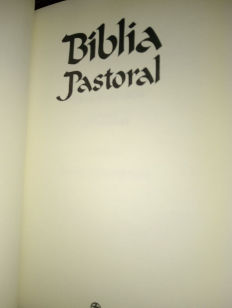 Novo Testamento Gustave Dore Bíblia Pastoral