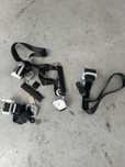 Zestaw pasy Caravelle T6.1 T6 T5 kamper