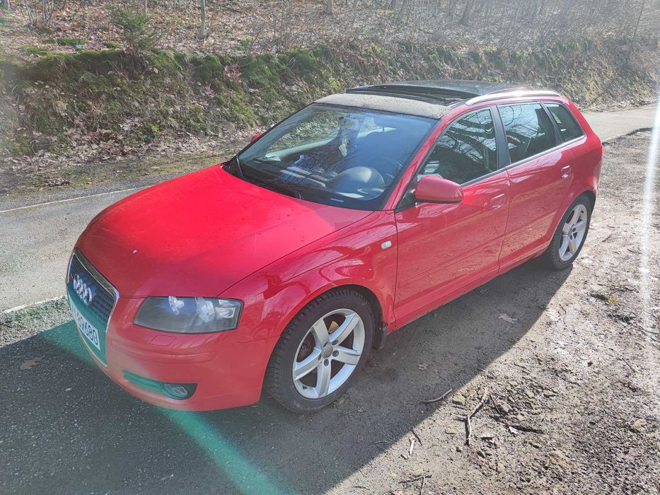 Audi A3 QUATTRO 2.O TDI 140KM 2006 Panorama