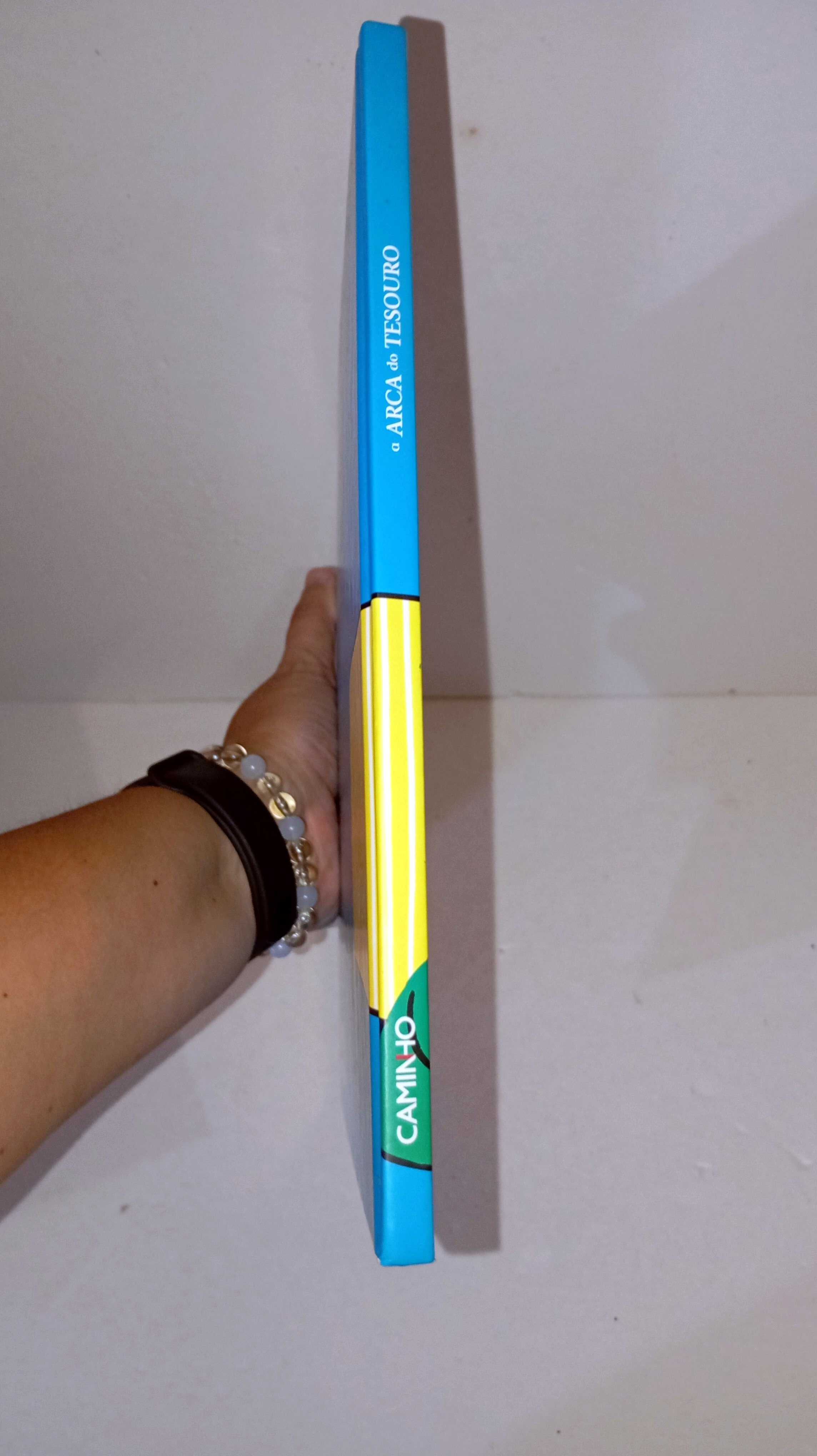 A Arca do Tesouro - livro + CD