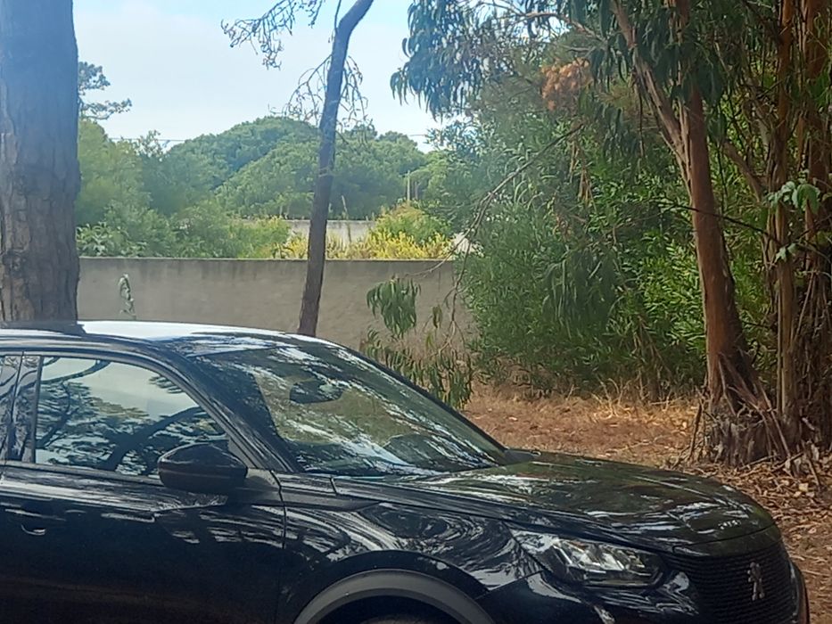 Peageut 2008 gasóleo TVDE