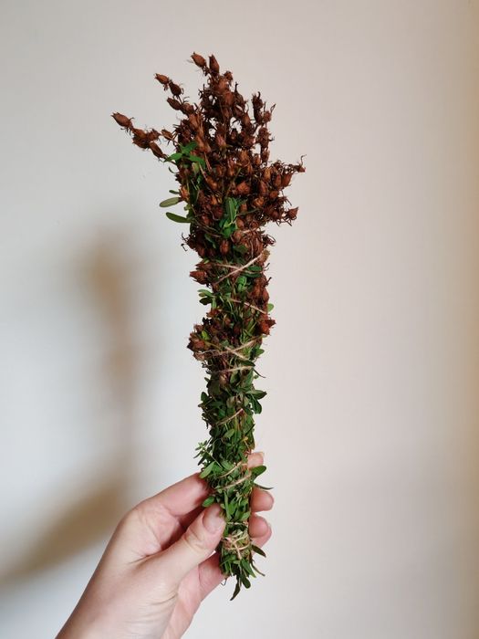 Naturalne kadzidło dziurawiec | Ziołowe kadzidełko z dziurawca