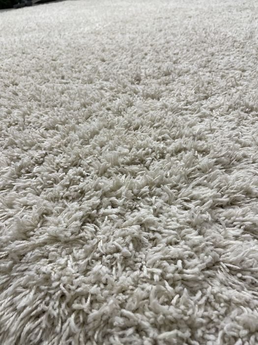 Великий світлий килим - травка