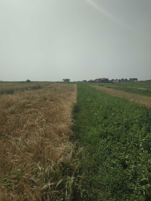 Продам земельну ділянку поблизу Рівного(Бармаки)