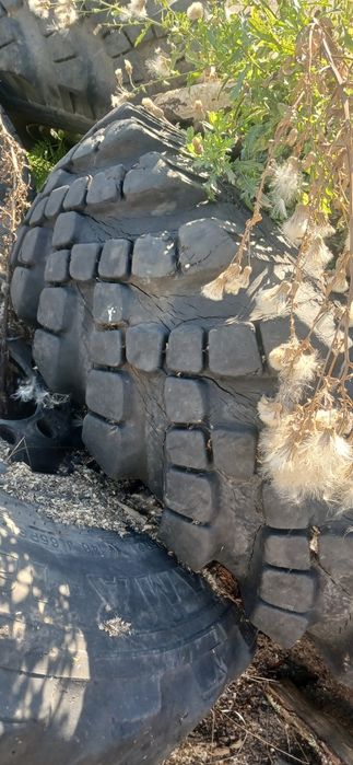 Резина на Урал мтз юмз 385 65 22.5 камаз 4310